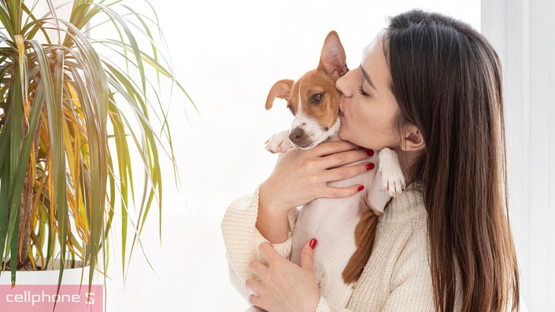 Yêu thương, tương tác và huấn luyện thú cưng