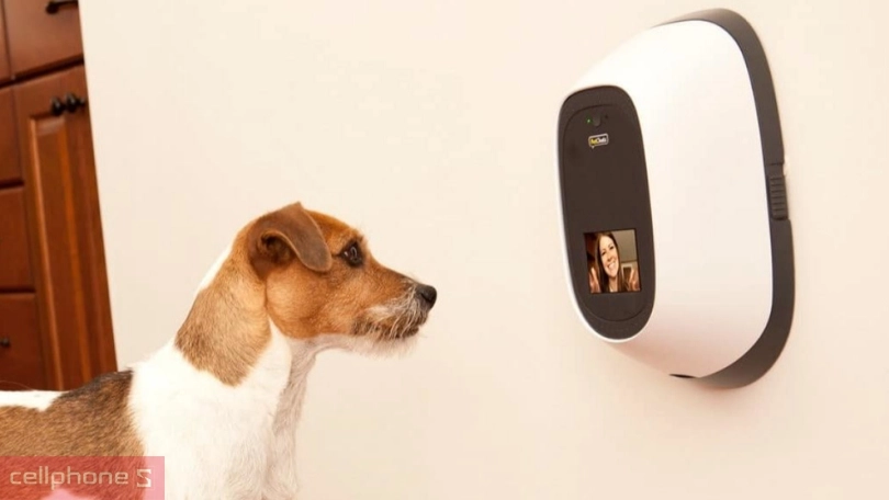 Hướng dẫn chăm sóc thú cưng đúng cách cho người mới Bên cạnh việc chọn mua các thiết bị chăm sóc thú cưng phù hợp và an toàn, thì chế độ chăm sóc cũng cần được lưu ý để đảm bảo an toàn và sức khỏe cho thú cưng của bạn. Chuẩn bị môi trường sống và mua sắm thiết bị cần thiết Trước khi đón thú cưng về, bạn nên tìm hiểu về về đặc điểm và nhu cầu của chúng để có sự chuẩn bị và chăm sóc phù hợp. Chuẩn bị cho chúng một môi trường sống an toàn và thoải mái như một chiếc chuồng, đệm ngủ hoặc đồ chơi,... cham-soc-thu-cung-7 Ngoài ra cần cân nhắc chọn mua một số thiết bị cần thiết như máy cho thú cưng ăn tự động, máy cho uống nước tự động, máy cắt tỉa lông và mài móng,... Các thiết bị này không chỉ mang lại môi trường thoải mái và đầy đủ cho chúng mà còn đơn giản hoá việc chăm sóc thú cưng, giúp bạn rảnh tay hơn, tiện lợi và cũng an toàn hơn. Cung cấp dinh dưỡng phù hợp Mỗi loài thú cưng sẽ có đặc điểm và nhu cầu dinh dưỡng khác nhau, bạn nên chọn loại thức ăn phù hợp với chúng, cân nhắc đến thành phần dinh dưỡng và đa dạng thức ăn để thú cưng được cung cấp dinh dưỡng tốt nhất. Đồng thời, nên cho thú cưng của bạn ăn uống đúng giờ và theo dõi cân nặng một cách khoa học. cham-soc-thu-cung-8 Đảm bảo vận động và vệ sinh Bên cạnh cung cấp môi trường sống thoải mái, chế độ dinh dưỡng phù hợp thì khi chăm sóc thú cưng, bạn cũng nên lưu ý và dành thời gian cho chúng vận động mỗi ngày để giúp chúng luôn vui vẻ, giảm căng thẳng và khoẻ mạnh, hạn chế thừa cân, béo phì. cham-soc-thu-cung-9 Bạn cũng có thể trang bị thêm các thiết bị chăm sóc thú cưng giúp chúng tương tác với chủ nhân, cung cấp đồ chơi để chúng có thể vui đùa, giúp kích thích trí thông minh và sự phát triển của thú cưng. Chăm sóc sức khỏe định kỳ Để phòng tránh các bệnh về đường tiêu hóa hay vi khuẩn ký sinh, bạn nên đưa thú cưng của mình đi kiểm tra định kỳ tại các cơ sở, phòng khám thú y uy tín để phát hiện sớm cũng như điều trị kịp thời các loại bệnh. Ngoài ra cũng nên đưa thú cưng đi tiêm các loại Vaccine và dùng thuốc điều trị được bác sĩ hướng dẫn nếu đang mắc bệnh. cham-soc-thu-cung-10 Yêu thương, tương tác và huấn luyện thú cưng Phải nói rằng thú cưng là một người bạn không thể thiếu của mỗi gia đình, do đó việc huấn luyện cũng sẽ giúp cho thú cưng của bạn trở nên thông minh, ngoan ngoãn hơn. Để huấn luyện thú cưng hiệu quả, nhanh chóng nhất bạn có thể dành khoảng 15 - 20 phút mỗi ngày để chơi đùa cũng như tập những thói quen sinh hoạt hằng ngày cho thú cưng. cham-soc-thu-cung-11 Tất nhiên, bên cạnh chăm sóc thú cưng bạn cũng nên dành tình cảm yêu mến với chung, thường xuyên trò chuyện và vuốt ve để giúp thú cưng gần gũi với bạn hơn, giảm căng thẳng và nhất là xây dựng sự gắn kết. Ngược lại, thú cưng cũng là liều thuốc tinh thần hiệu quả giúp bạn xoa dịu căng thẳng.