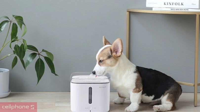 Ưu điểm của các thiết bị chăm sóc thú cưng thông minh