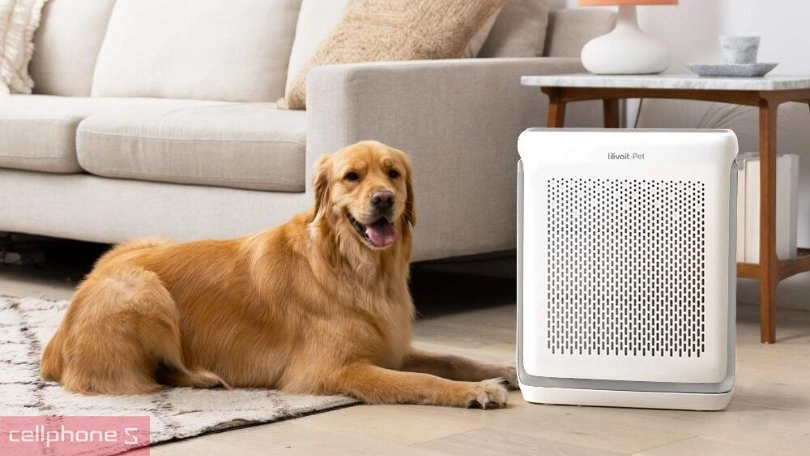 Ưu điểm của các thiết bị chăm sóc thú cưng thông minh