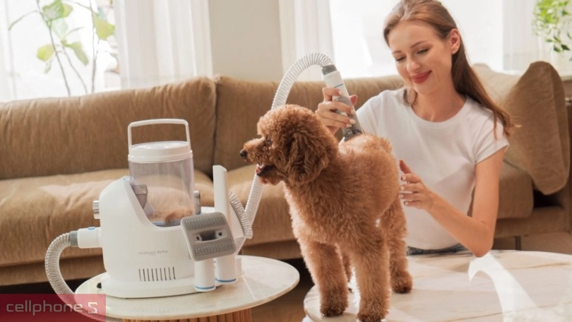 Lựa chọn thương hiệu uy tín và giá cả hợp lý