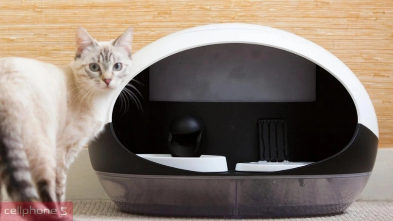 Hướng dẫn chăm sóc thú cưng đúng cách cho người mới