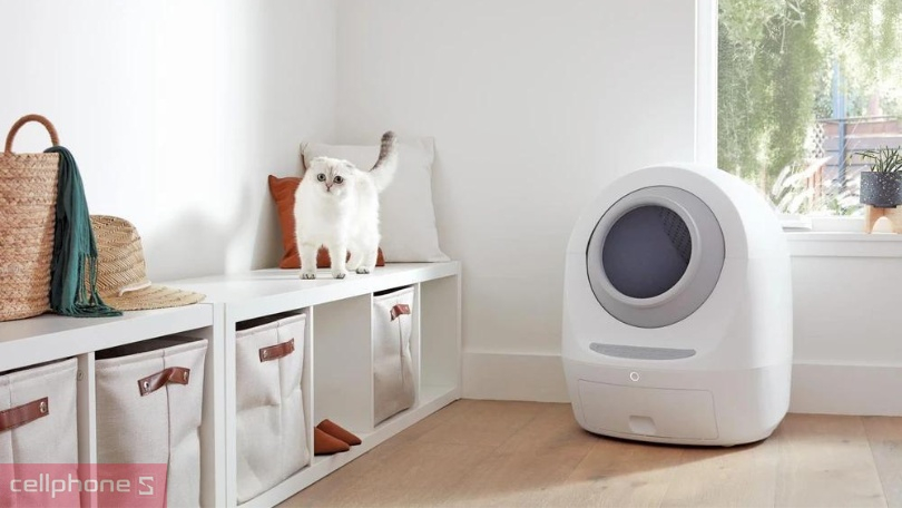 Đảm bảo vận động và vệ sinh