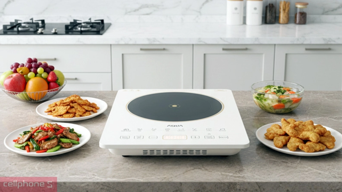 Bếp điện Aqua