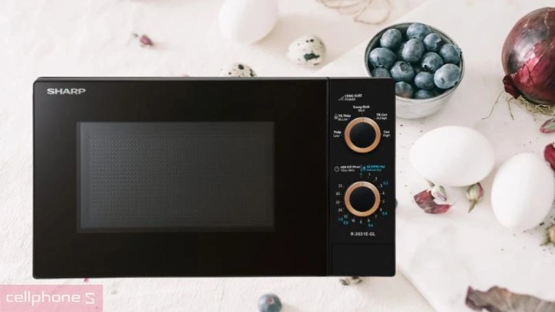 Dung tích lò vi sóng Sharp R-2031E CH 20L