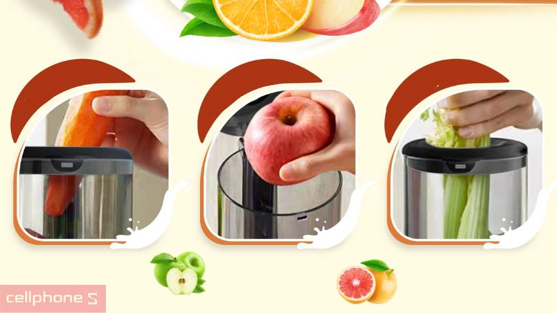 Khả năng vệ sinh Máy ép Masuto