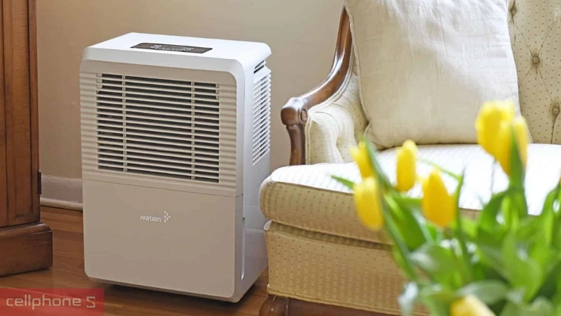 Thương hiệu và giá cả