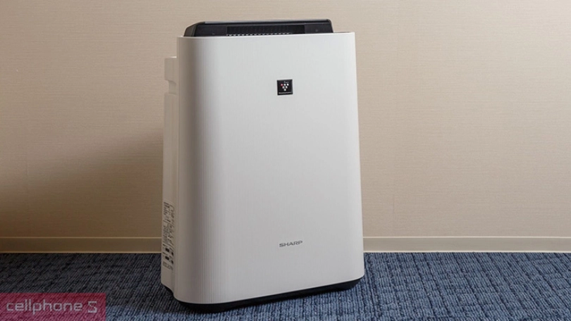 Máy hút ẩm có công dụng gì?