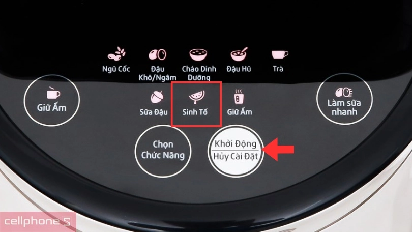 Hướng dẫn cách làm sinh tố (không sử dụng nhiệt)