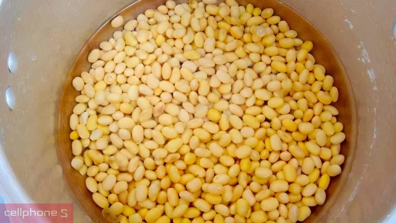 Hướng dẫn sử dụng máy làm sữa hạt đa năng BlueStone SMB-7329 1.3L chi tiết