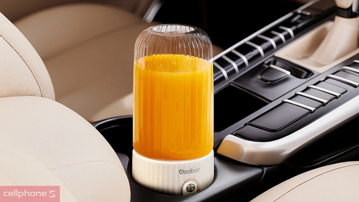 Máy xay sinh tố Gaabor