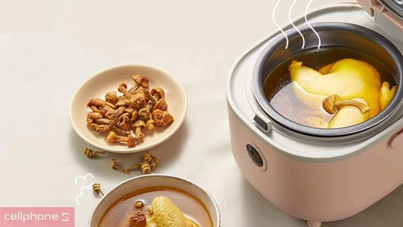 Hướng dẫn sử dụng nồi cơm điện Bear DFB-B20A1 2l