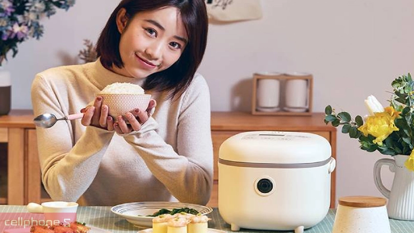 Vì sao nên chọn mua nồi cơm điện Bear 3 lít DFB-B30R1