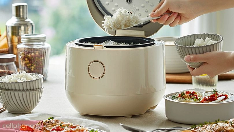 Hướng dẫn sử dụng nồi cơm điện Bear 3 lít DFB-C30L3