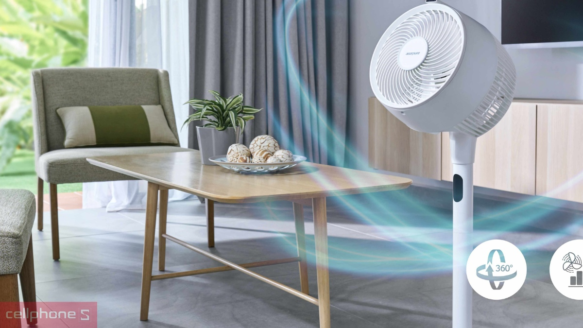 Xuất xứ và thương hiệu