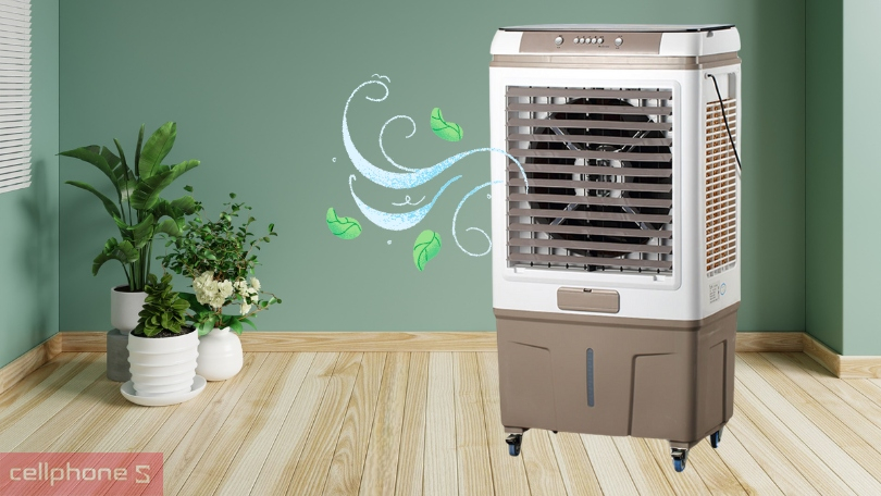 Thiết kế quạt hơi nước Kangaroo KG50F62