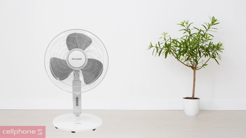 Quạt Sharp có những loại nào trên thị trường?