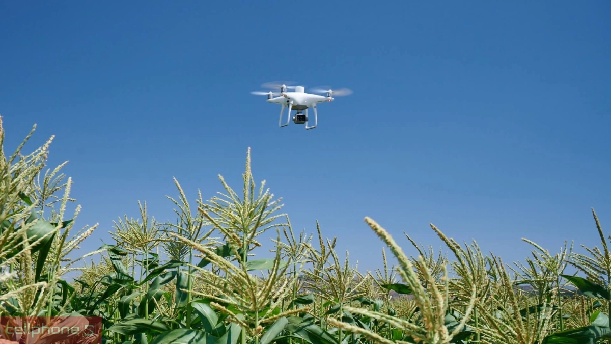 Động cơ mạnh mẽ, bay mượt mà trong gió