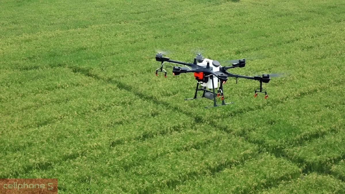 Thiết kế an toàn, trọng lượng cân đối