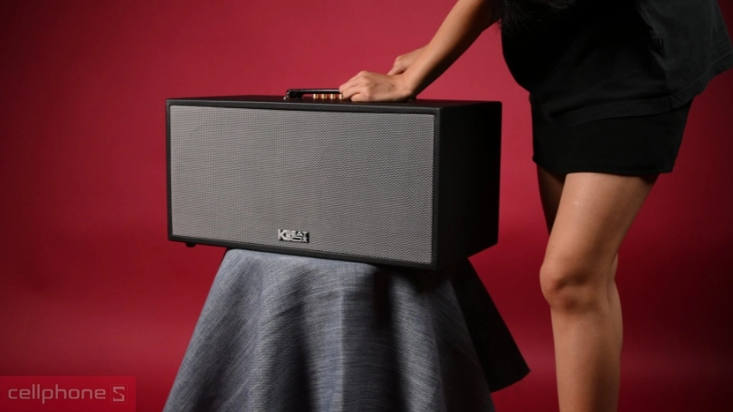 Loa Acnos CS451 Plus cũ 