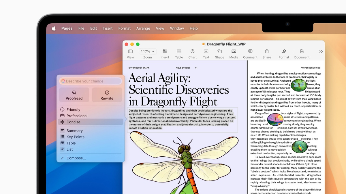 MacBook Air M4 cũ đẹp có độ mới cao, giá hợp lý