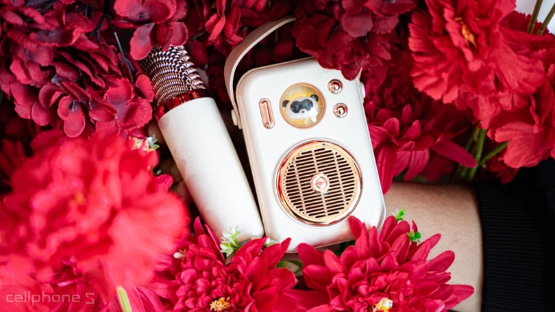 Loa Bluetooth SoundPEATS Hi Singing - Cũ