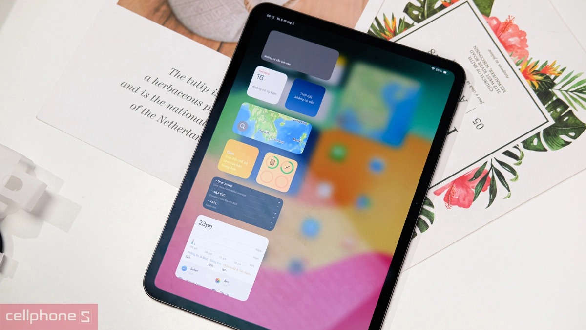 iPad Pro Series cũ