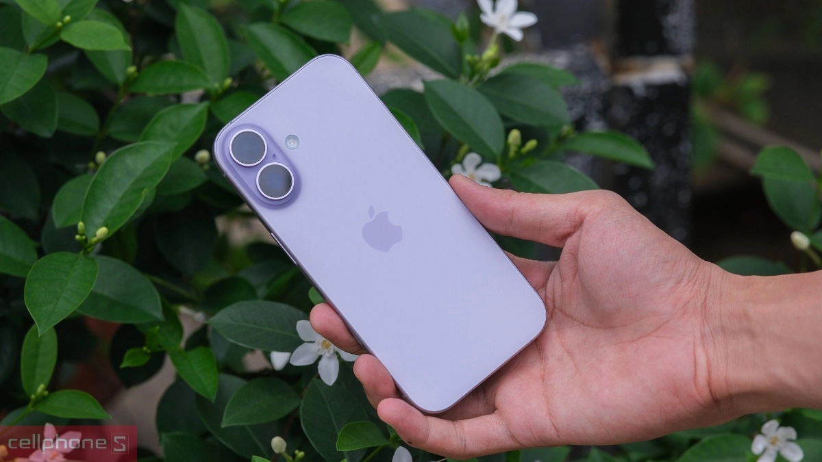 iPhone 17 thường cũ