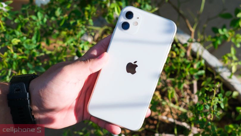 Cấu hình, tình trạng máy của iPhone 11 256GB cũ đẹp