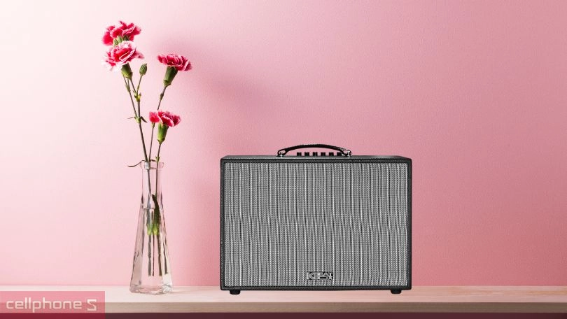 Tính năng loa Acnos CS250PUW