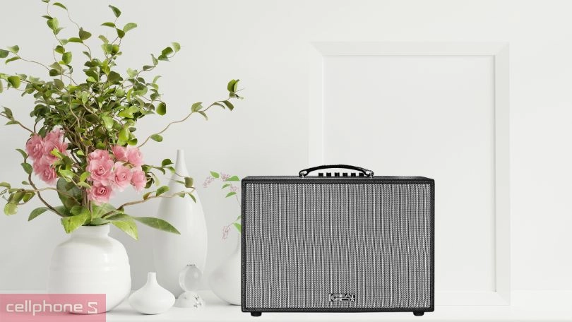 Thiết kế loa Acnos CS250PUW