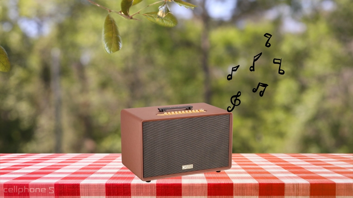 Pin loa karaoke Acnos FLAC 39