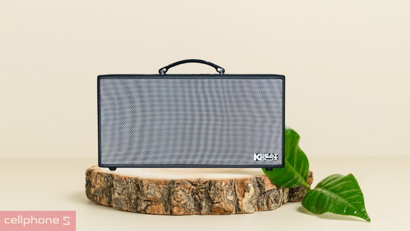 Pin loa Acnos CS450SR