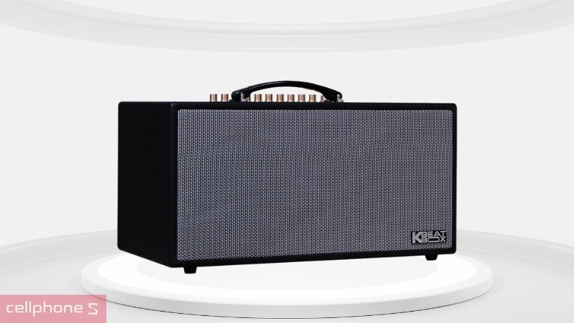 Thiết kế loa Acnos CS450SR