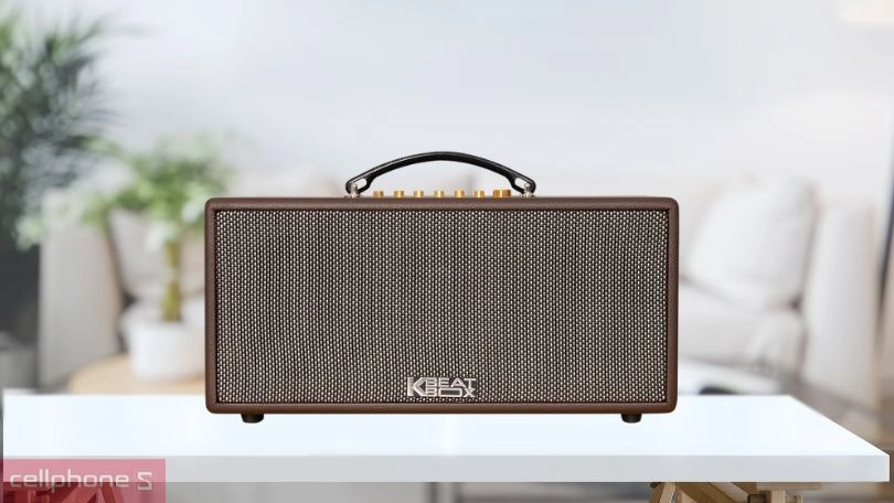 Giải trí với loa Karaoke xách tay Acnos CS366 Plus 