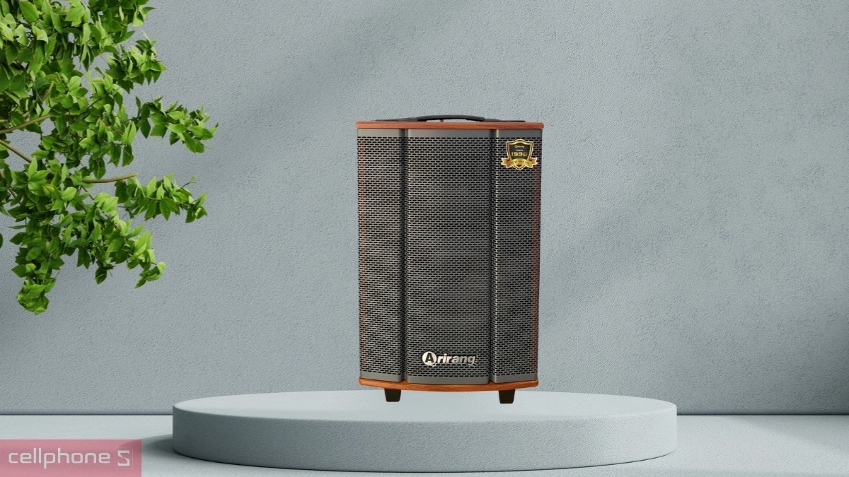 Khả năng kết nối, pin của loa karaoke xách tay Arirang MKS2.5