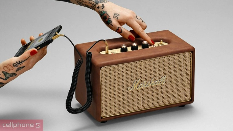 Âm thanh loa Marshall Acton IV