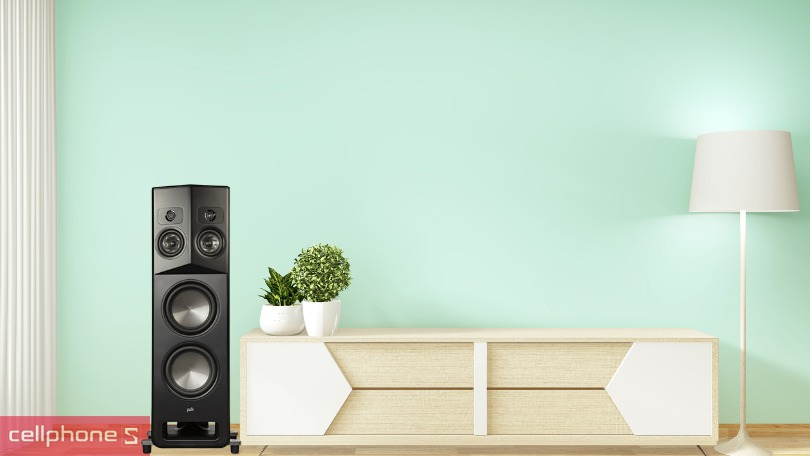 Khả năng kết nối của loa Polk Audio Legend L800