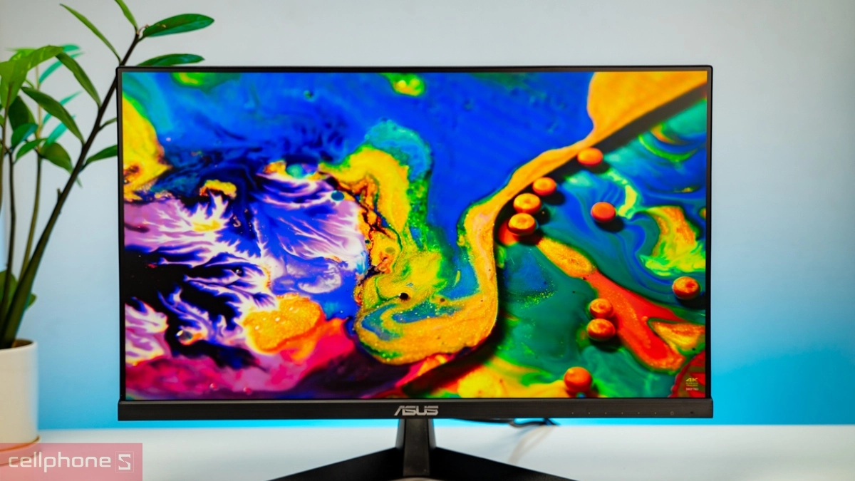 Màn hình Asus 24 inch