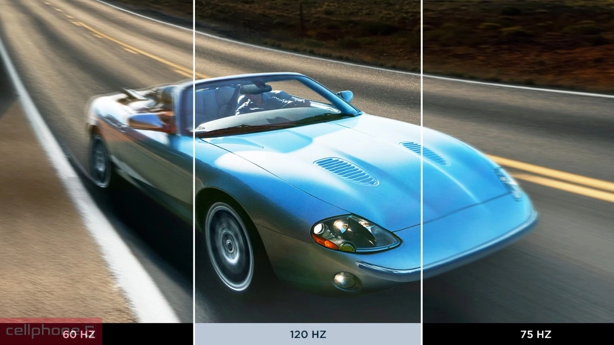 Tần số quét màn hình ViewSonic VP2456A 24 inch