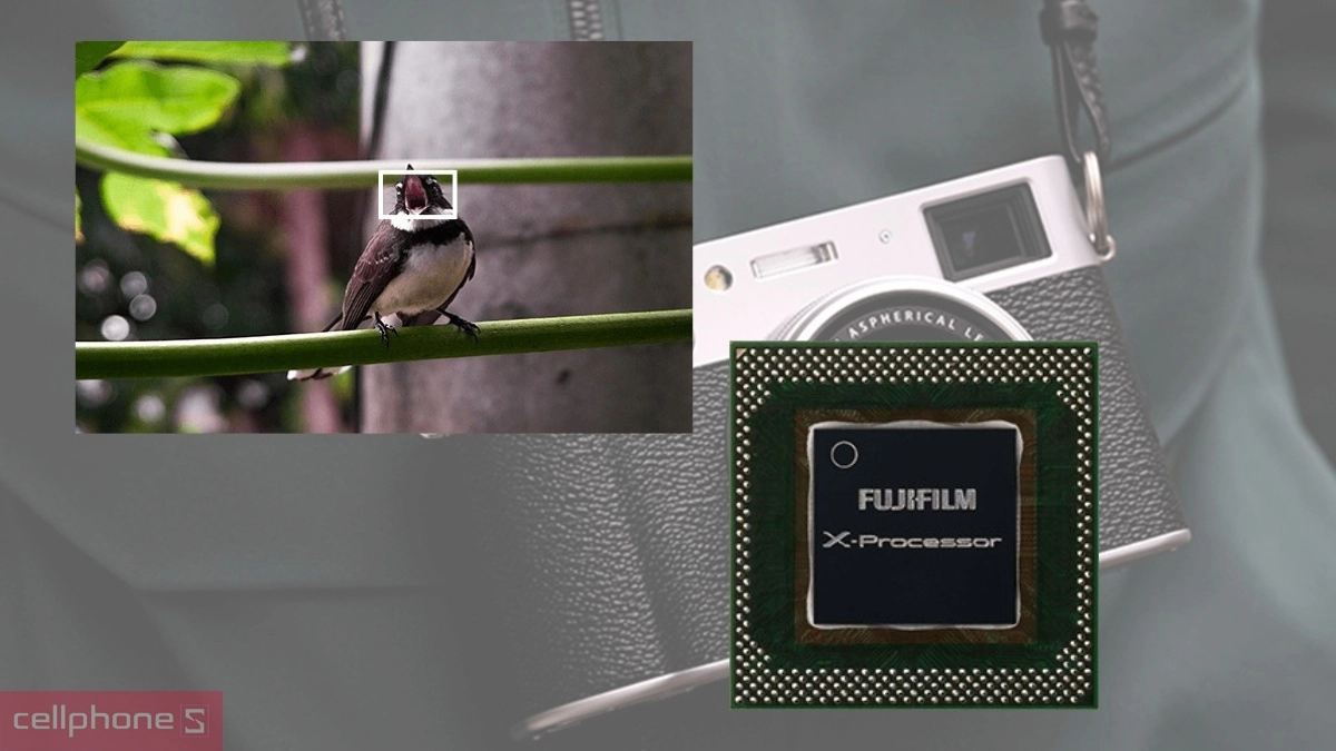 Bộ xử lý X-Processor 5 trên X100VI 