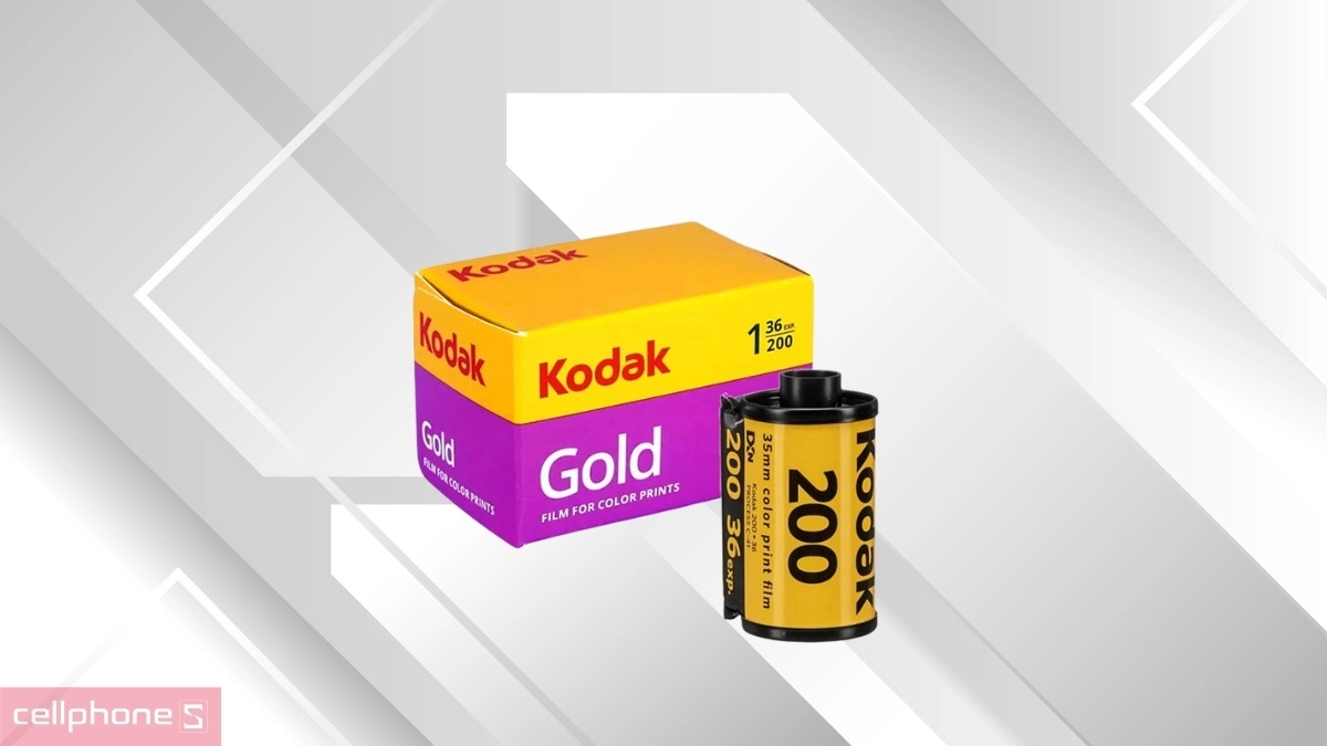 Định dạng tiêu chuẩn, linh hoạt