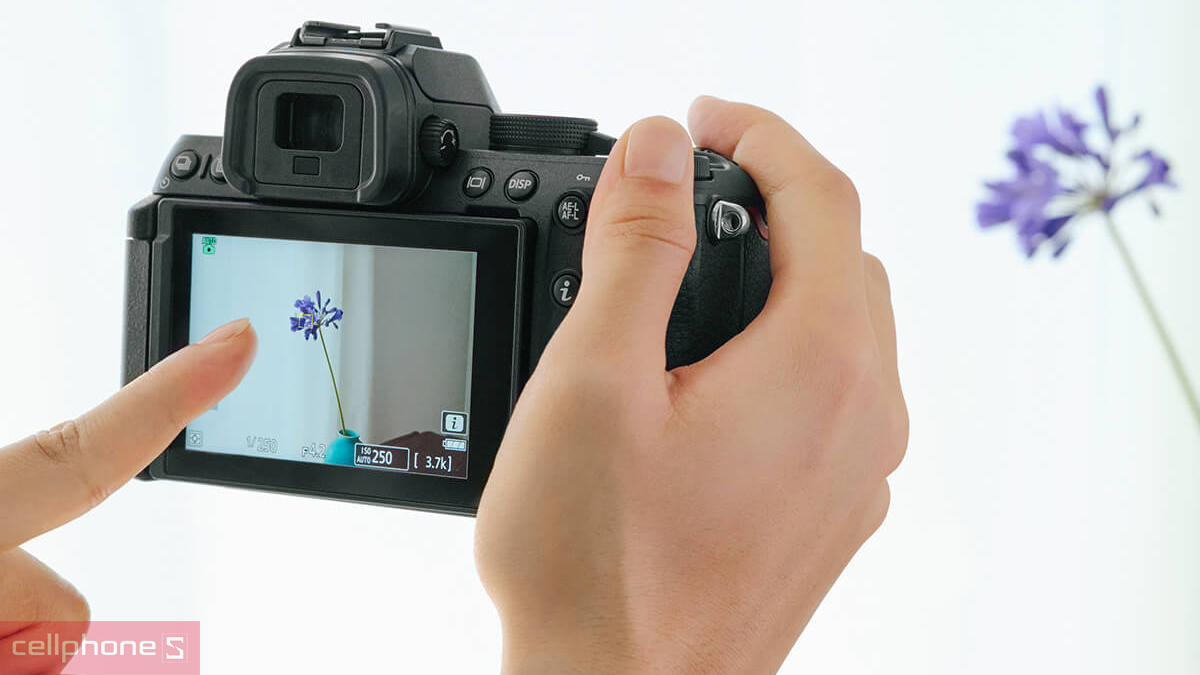 Công nghệ máy ảnh Nikon Z50 II