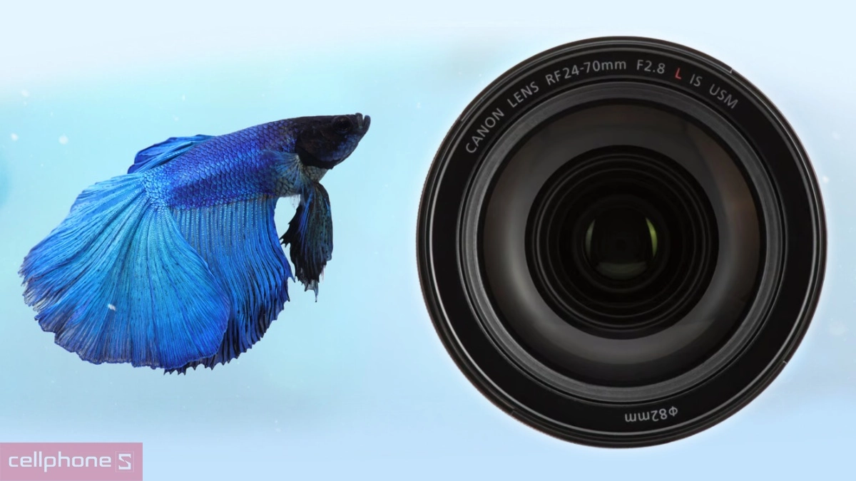 Khẩu độ lens Canon RF 24-70mm f/2.8 L IS USM