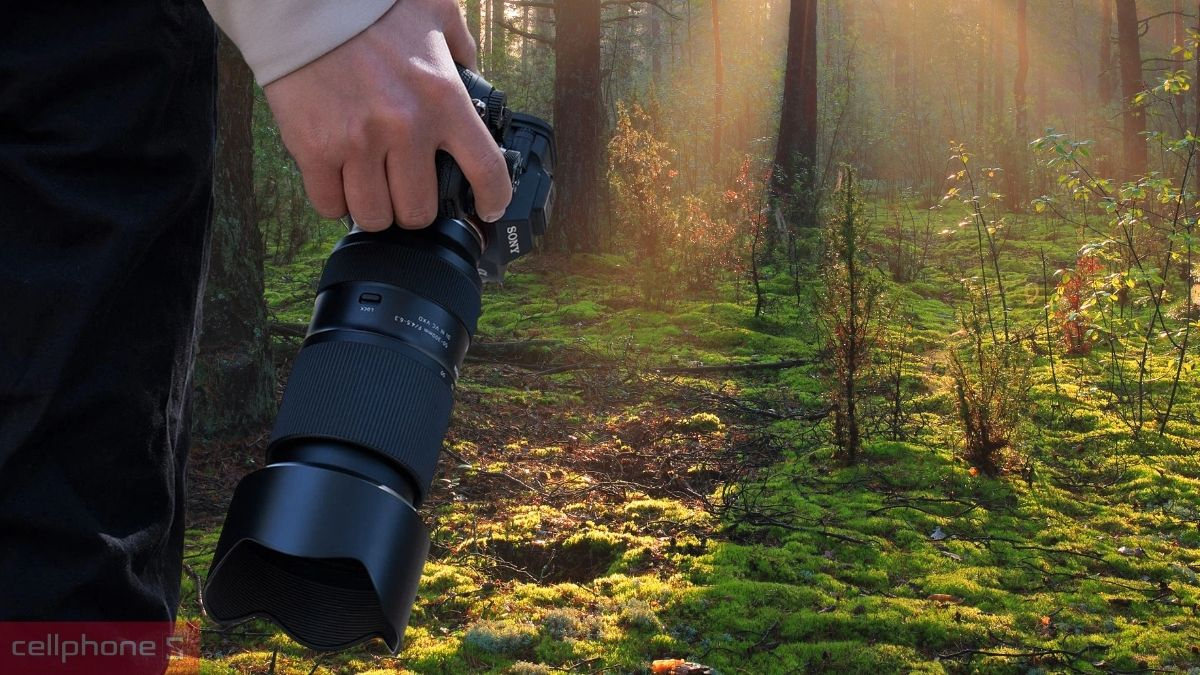 Khả năng chụp cận cảnh của Lens Tamron 50-300mm F4.5-6.3 for Sony E