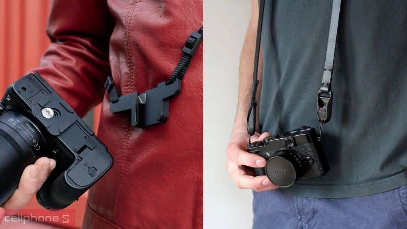 Phân loại theo chức năng