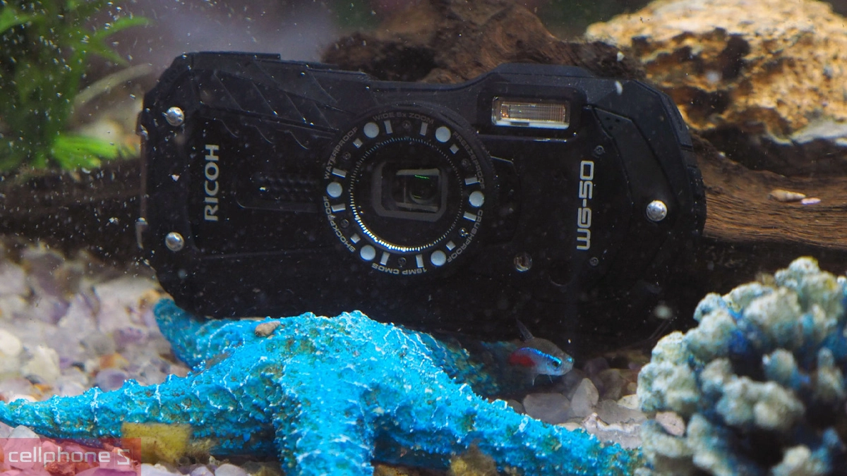 hình ảnh dưới nước của máy ảnh Ricoh rất ấn tượng