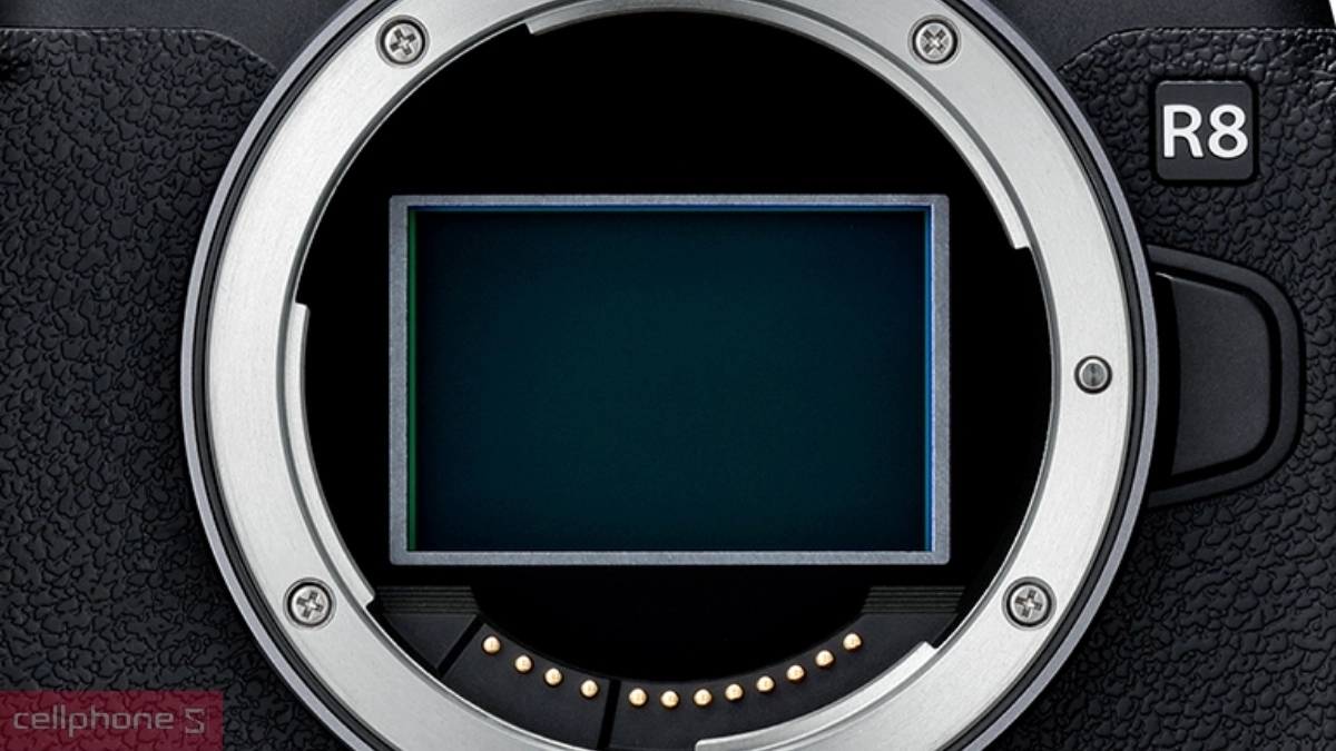 Cảm biến Canon EOS R8