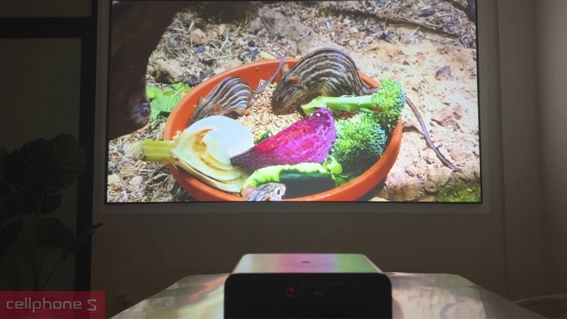 CHất lượng máy chiếu Mini Beecube Harmony