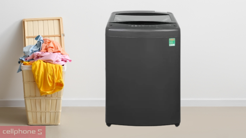 Thiết kế hiện đại và sang trọng